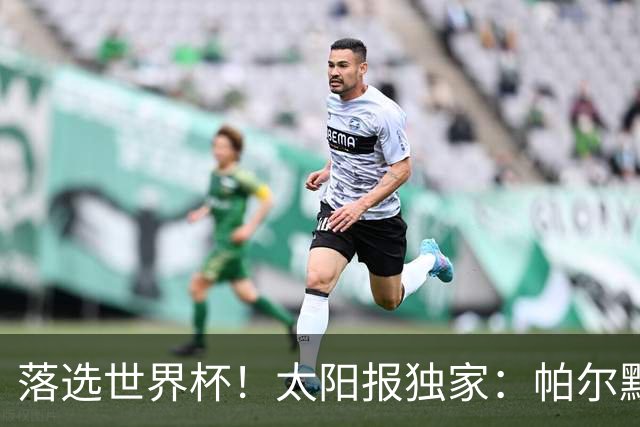 落选世界杯！太阳报独家：帕尔默周三与朋友畅饮狂欢，被美女围绕